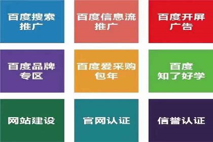 SEM运营公司成功案例解析